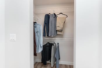 Large closet view